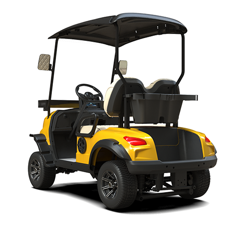 Customized ball washer and Battery Buggy Electric Golf Carts