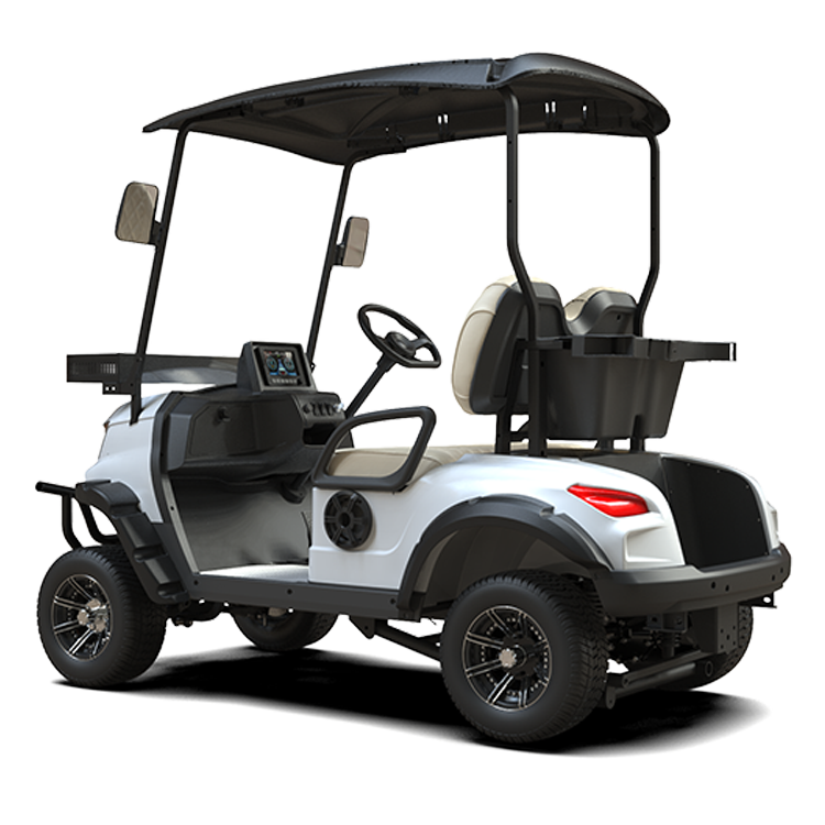 Custom ball washer Cheap Electric Golf Carts