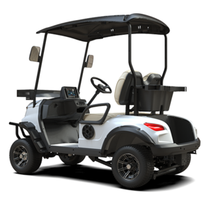 Custom ball washer Cheap Electric Golf Carts