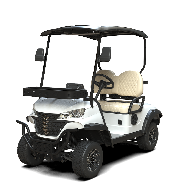 Custom ball washer Operated Electric Car Golf Carts