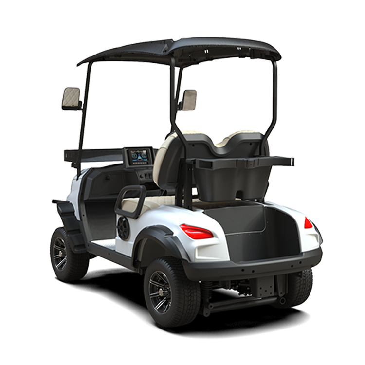 Custom ball washer Operated Electric Car Golf Carts