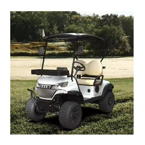 High Quality Mini Golf Car Two Seat Electric Golf Cart Hunting Golf Carts For Sale