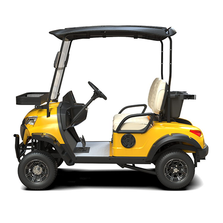 Club Car model t 2 Passenger Capacity Golf Carts electric classic car