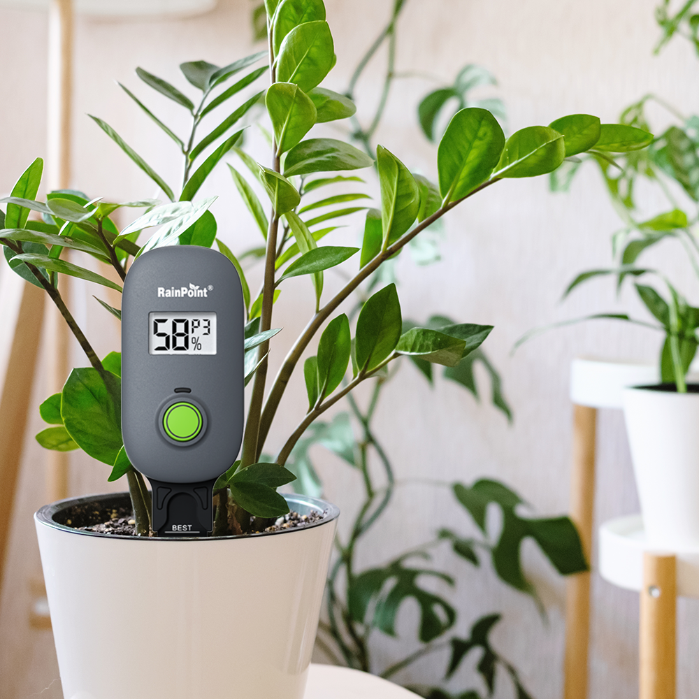 RAINPOINT Digital Soil Moisture Meter Soil Sensor for plants Soil Moisture Temperature