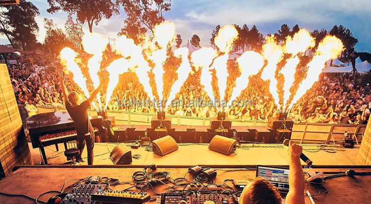 DJ Electric Fire Flame Machine dmx, Stage Fire Machine Flame Projector, Maquina de fuego DJ Equipment