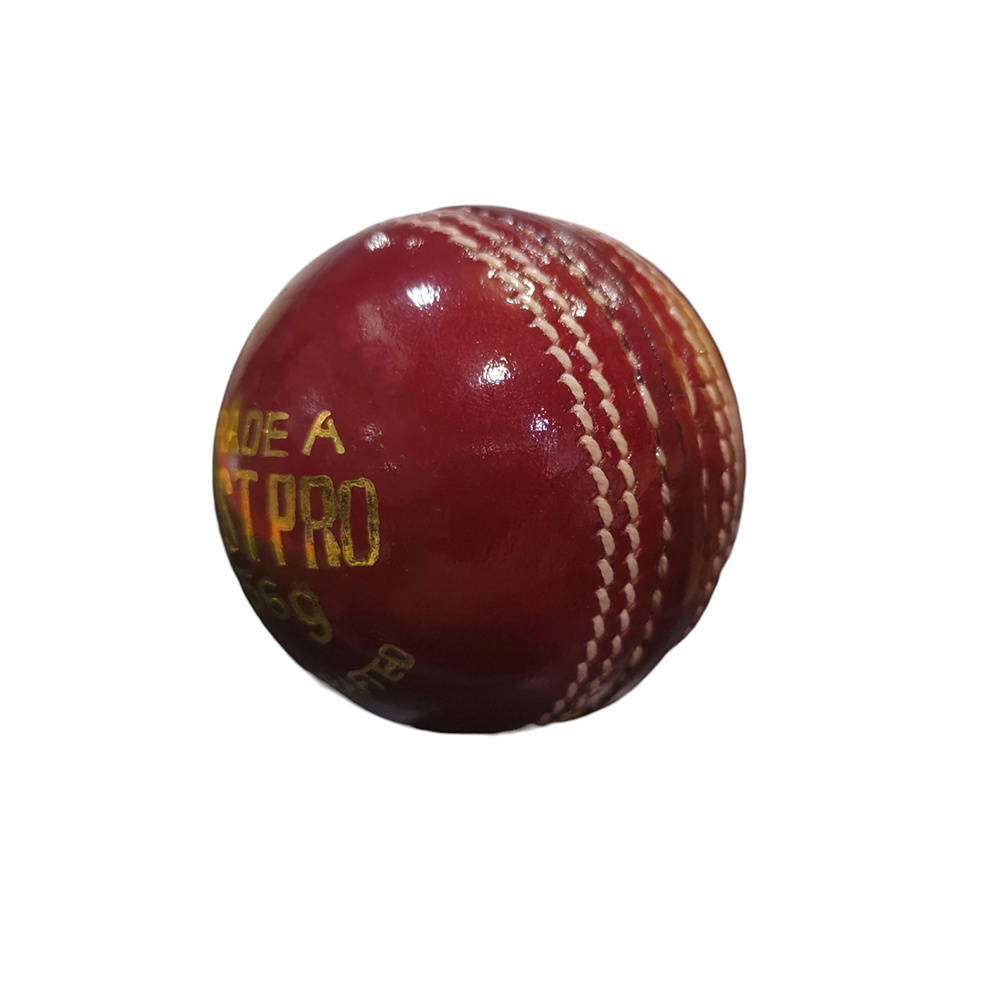 Cricket Hard Balls For Adults by Ballgo Sportswear