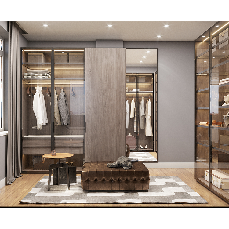 Door Wardrobe Cabinet Furniture Overlay Closet Interior Sliding Australian Standard Bedroom Glass Door Wardrobe Wardrobe Closet