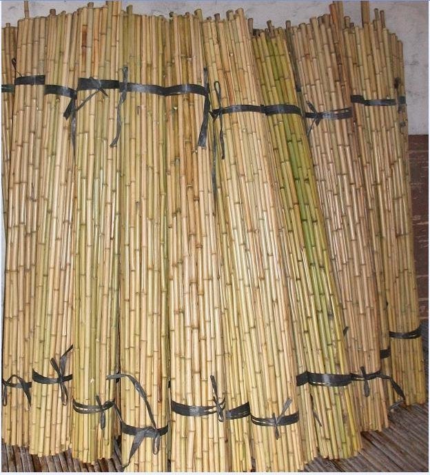 Dry Straight agriculture cheap raw Bamboo Poles manufactures for garden plant tonkin bamboo cane