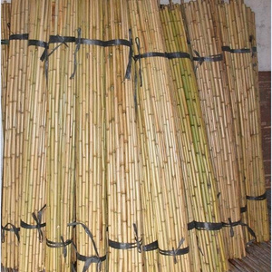 Dry Straight agriculture cheap raw Bamboo Poles manufactures for garden plant tonkin bamboo cane