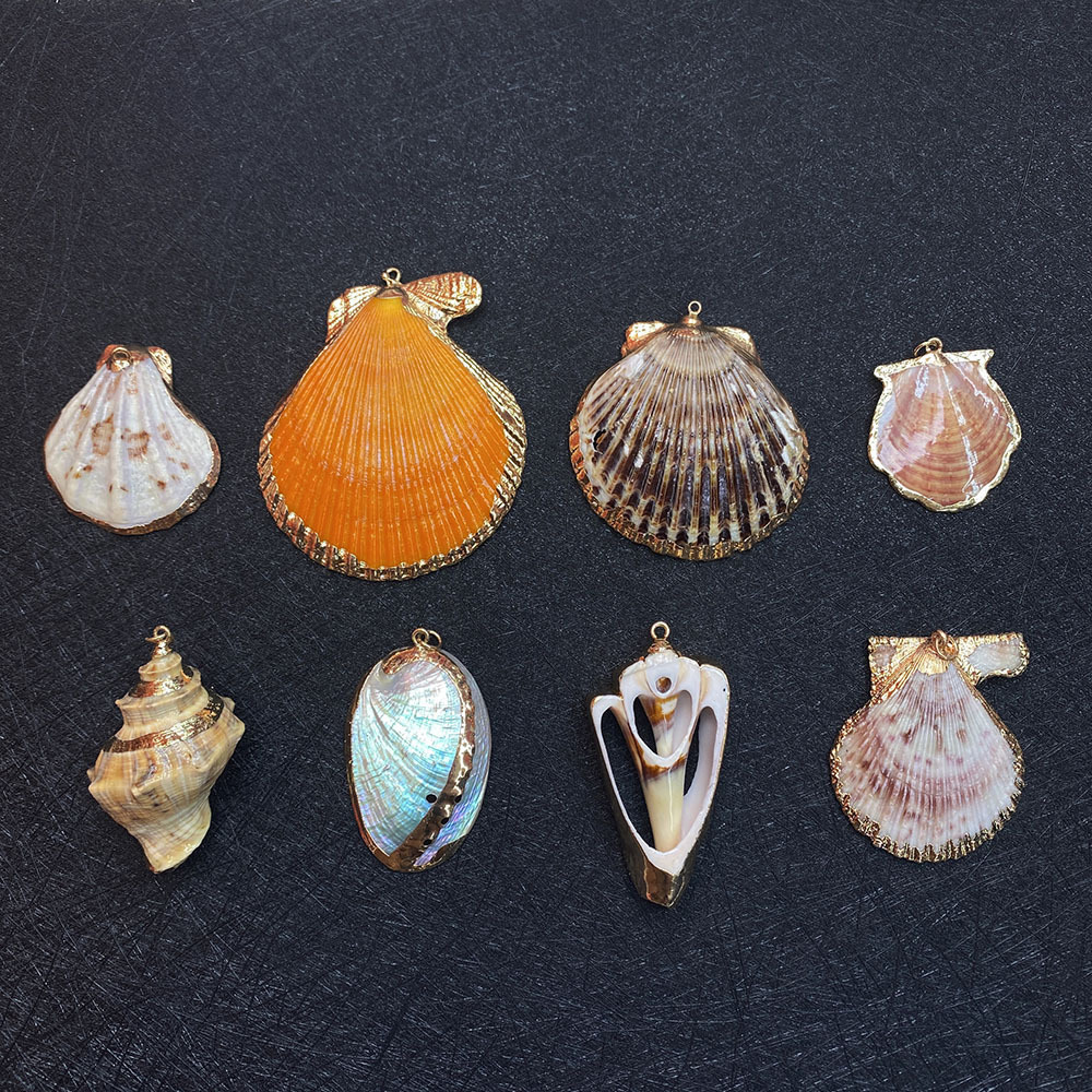 Multi Styles Natural Shell Conch Pendant Natural White Cowrie Seashells Charm Conch Shells Plated Charms DIY Jewelry Making