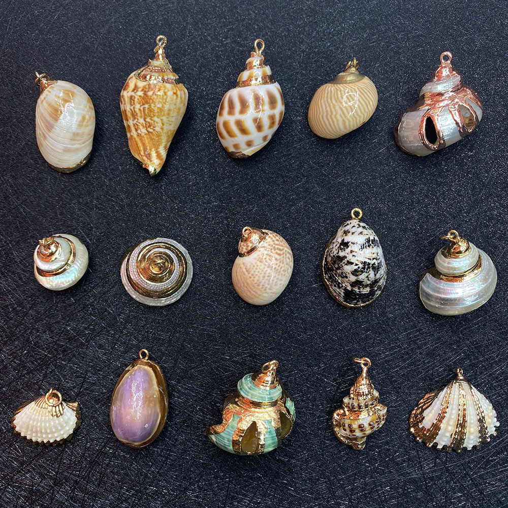 Multi Styles Natural Shell Conch Pendant Natural White Cowrie Seashells Charm Conch Shells Plated Charms DIY Jewelry Making