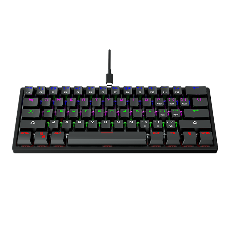 OEM 61 Keys BK70 60% Mechanical Gaming Keyboard RGB LED Rainbow Backlit Wired Keyboard with Red Switches for Windows Gaming PC