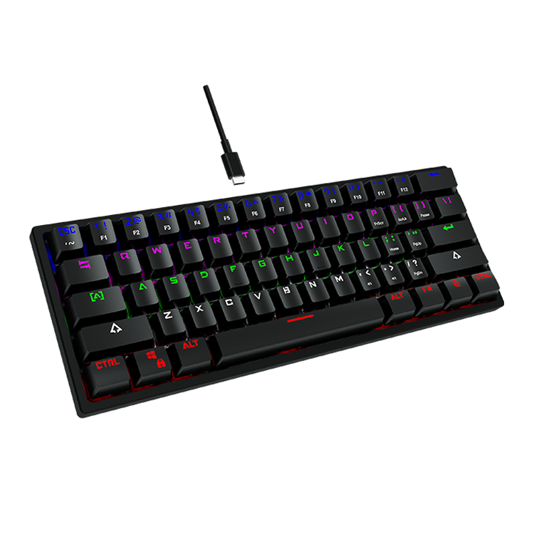 OEM 61 Keys BK70 60% Mechanical Gaming Keyboard RGB LED Rainbow Backlit Wired Keyboard with Red Switches for Windows Gaming PC