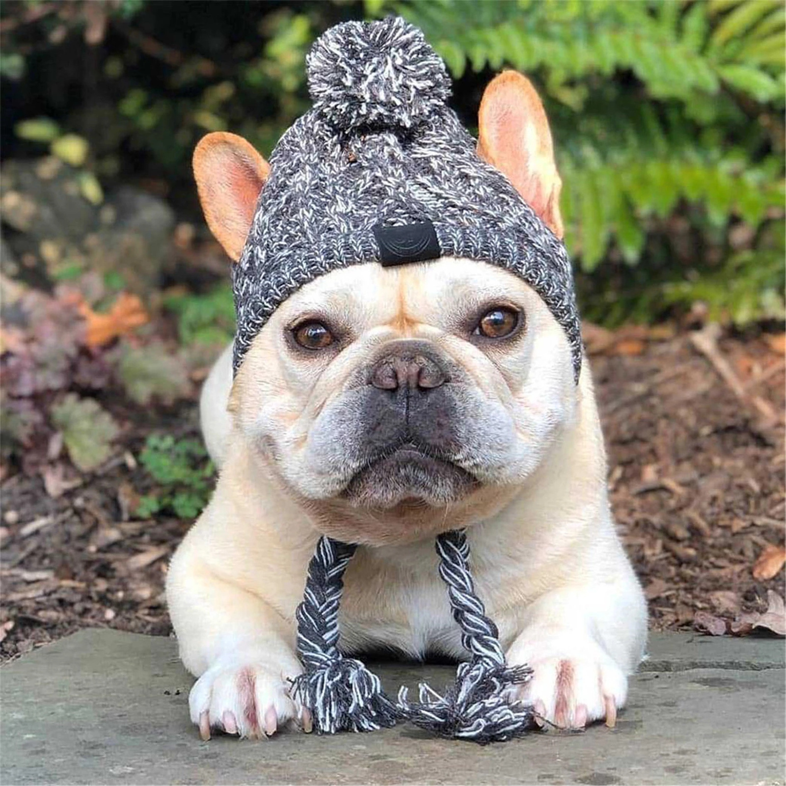 Winter Warm Dog Hats Windproof Knitting French Bulldog Cap For Dogs Chihuahua Hat Fluffy Ball Puppy Accessories Pet Hats