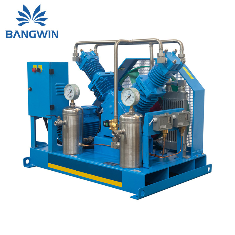 High Performance Oil Free Biogas Compressor Methane Cng Compressor Natural Gas Filling Compressor