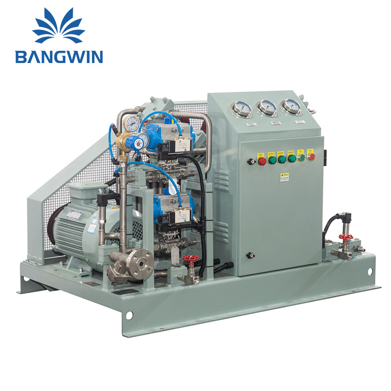 High Performance Oil Free Biogas Compressor Methane Cng Compressor Natural Gas Filling Compressor