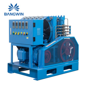 High Performance Oil Free Biogas Compressor Methane Cng Compressor Natural Gas Filling Compressor