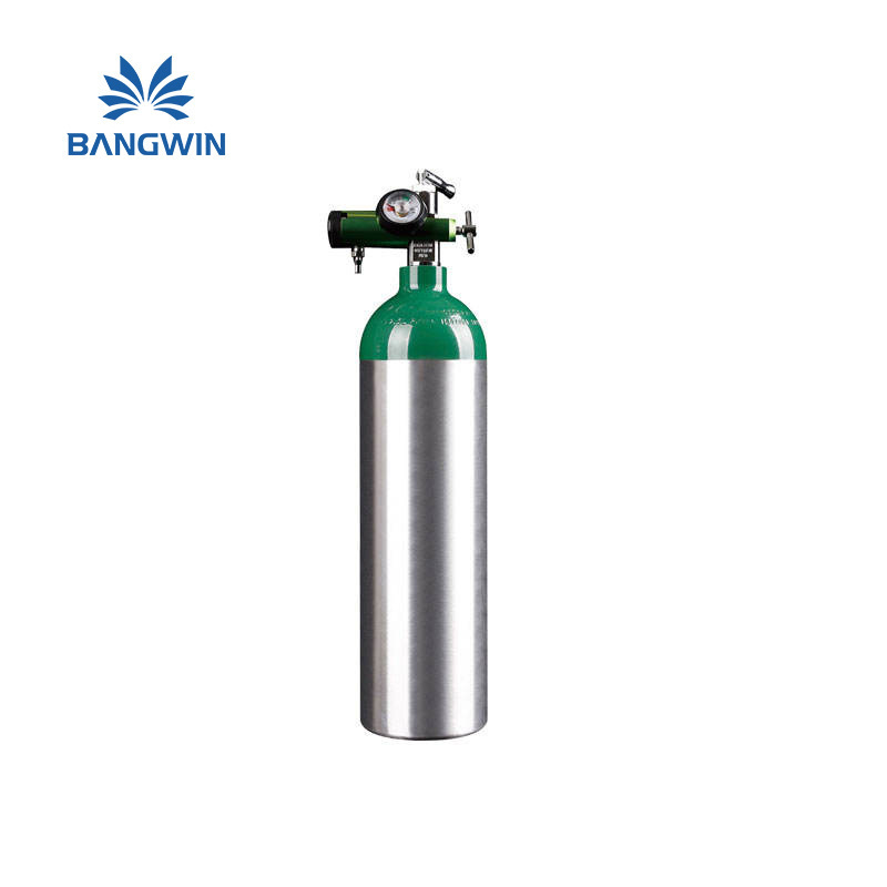 Factory direct supply low price 5LBS 10LBS 20LBS 10kg co2 tank aluminum beverage co2 cylinder with CGA320 valve