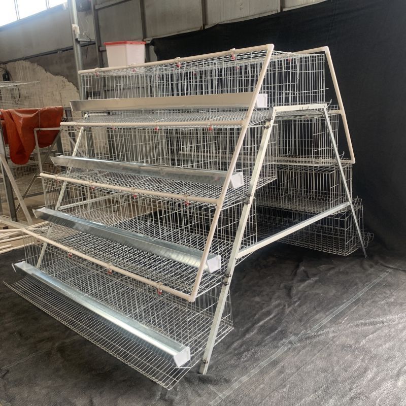 2000 birds chicken farm cage layer poultry cage baby chick cage