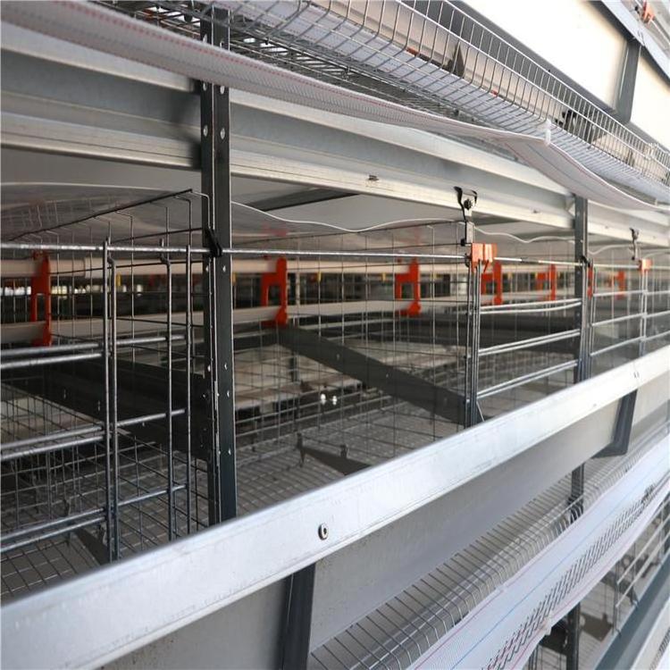 Factory Price Poultry Farming Equipment Automatic H Type Battery Broiler Chicken Cages