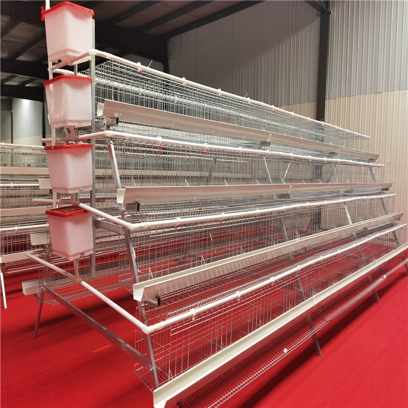 2000 birds chicken farm cage layer poultry cage baby chick cage