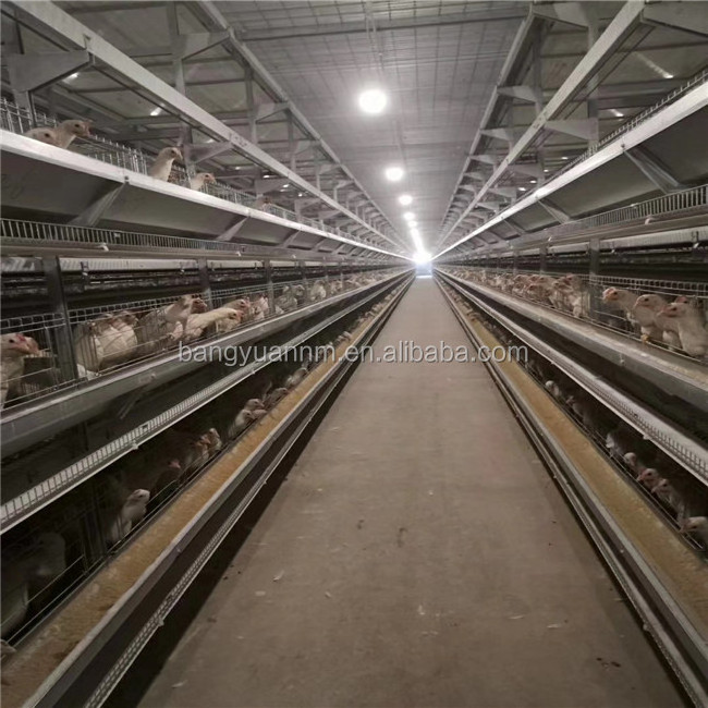 H Type Poultry Cage Equipment Battery Layer Chicken Used In Poultry Farm Chicken Coops For Sale Galvanized Welded Wire