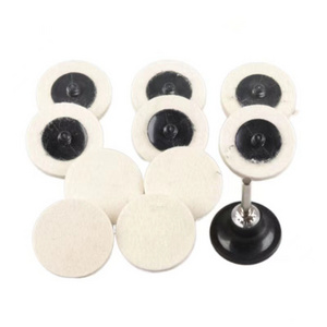 Manufacturer Supply Abrasive Tools Wool Polishing Grinding Sanding Disc Quick Change Disc Roll Lock