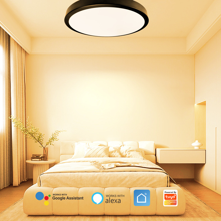 Banqcn rgb round ultra thin slim led ceiling panel light 6500K 3000K 4000K CCT DC135V/RGB DC 12V Isolated Flicker free IP20