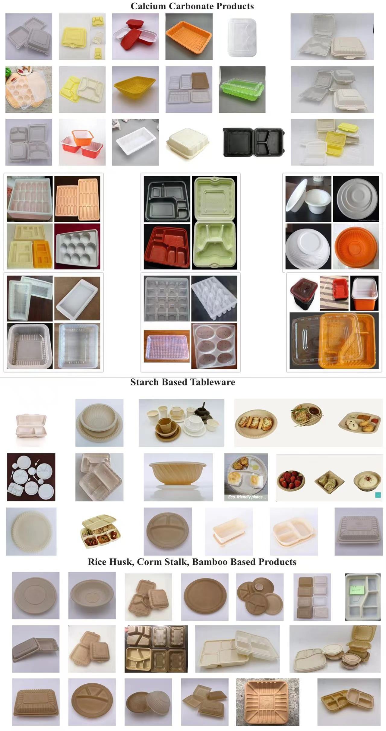 Disposable Plastic PP Thermoformed Food Packing Container Lunch Box Fully Automatic Production Machine Line