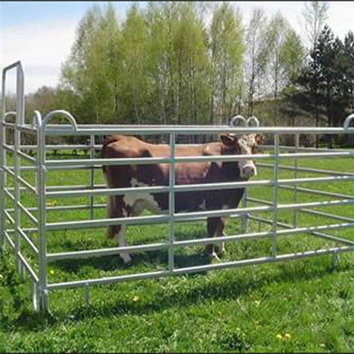 Factory Price Heavy Duty Hot Dipped Galvanized Used Horse Corral Panels Livestock Panels