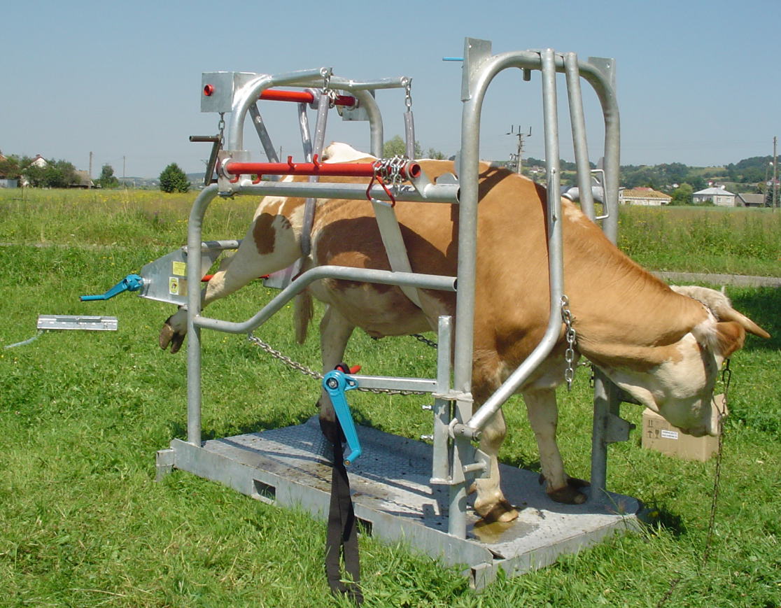 Livestock breeding machinery and equipment Cattle hoof trimming vehicle Hydraulic cattle hoof trimming machine