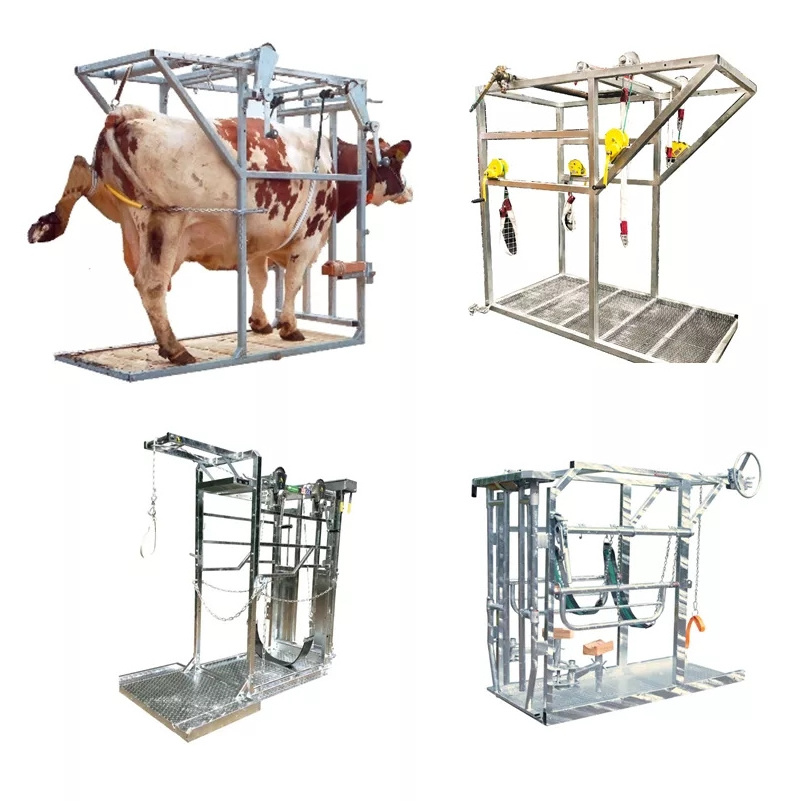 Livestock breeding machinery and equipment Cattle hoof trimming vehicle Hydraulic cattle hoof trimming machine