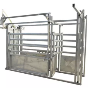 Galvanized Cow Crushing Cow Chute Head Heavy Duty Cow Head Lock Panel with Weight Scale