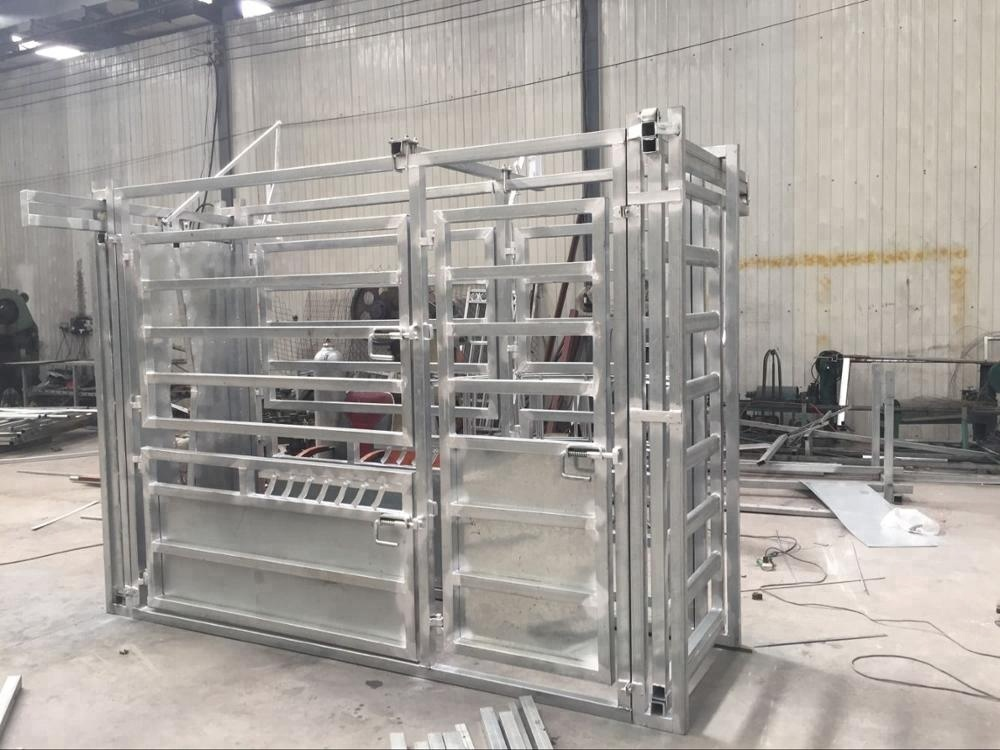 Galvanized Cow Crushing Cow Chute Head Heavy Duty Cow Head Lock Panel with Weight Scale