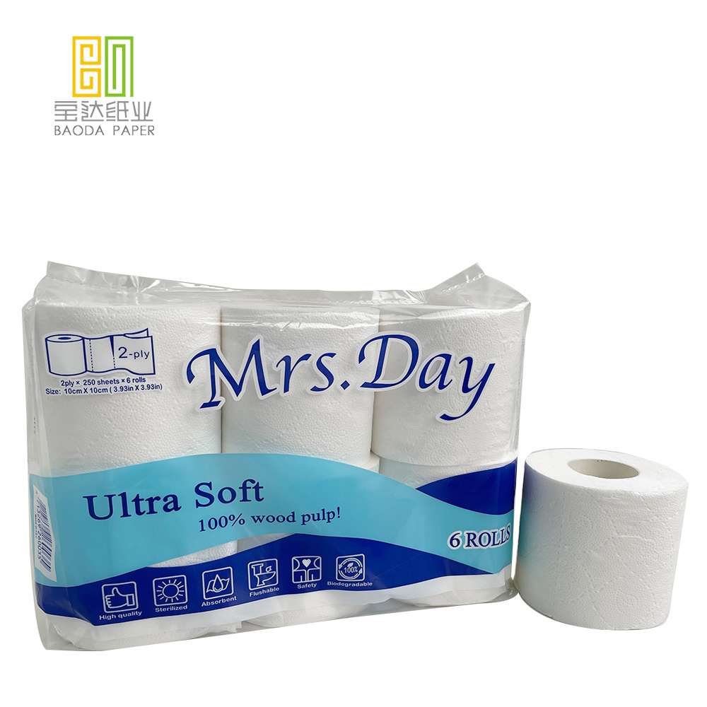 Pack of 6 Rolls Toilet Paper 2 Ply Bathroom Tissue Manufacturer Toilet Paper Wholesaler