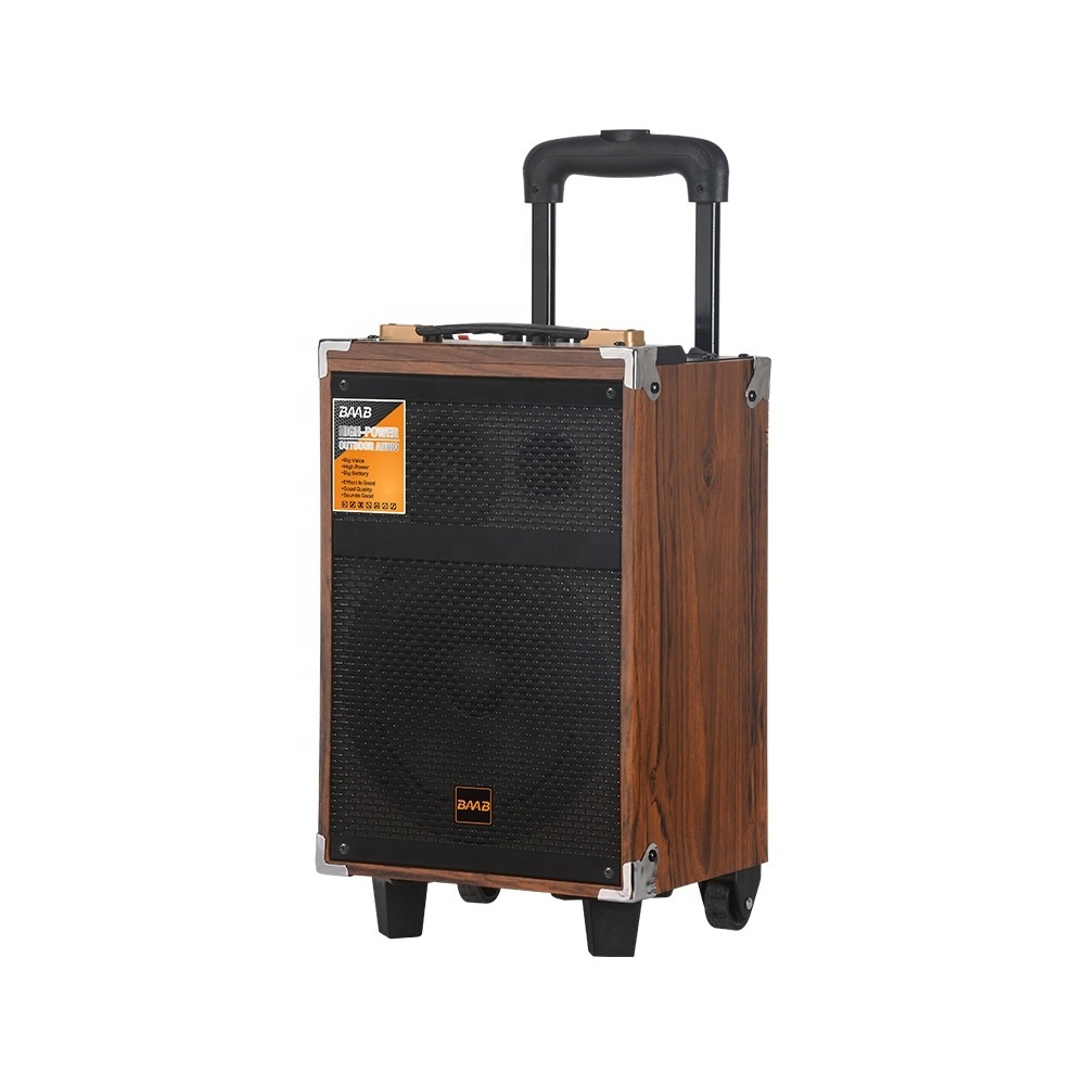 BQ8 40W 8 Inch Trolley Portable Speakers With Microphone Wooden case DJ Karaoke Bass RGB Light Wireless BT MIC USB