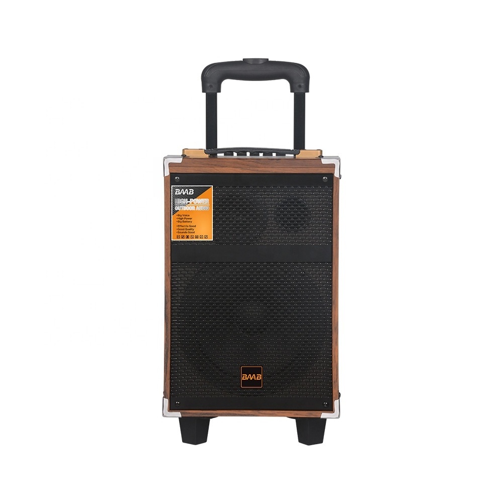 BQ8 40W 8 Inch Trolley Portable Speakers With Microphone Wooden case DJ Karaoke Bass RGB Light Wireless BT MIC USB