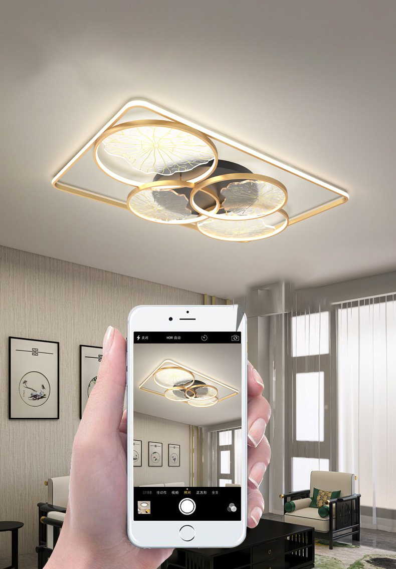 Indoor circular light fixtures acrylic roof kitchen lighting LED ceiling light fixtures modern