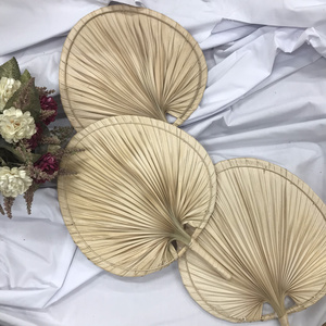 Natural Palm Leaf Fan Wall Hanging Decoration