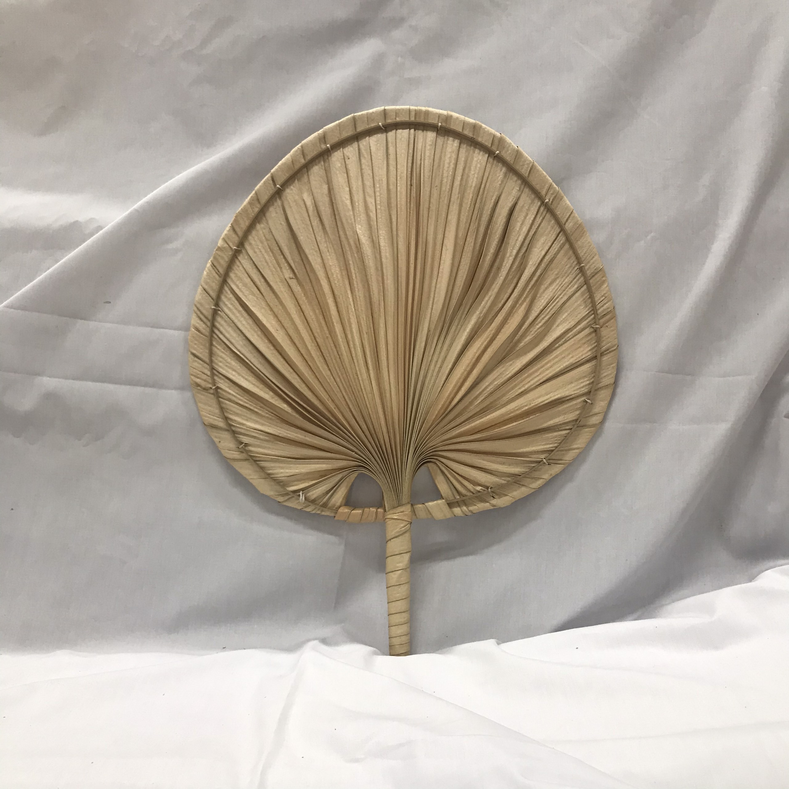 Natural Palm Leaf Fan Wall Hanging Decoration