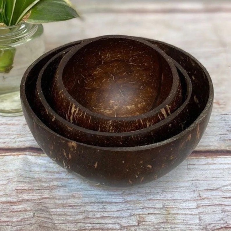 Natural Coconut Bowls and Spoon, Handmade Organic Coconut Shells for Dinnerware