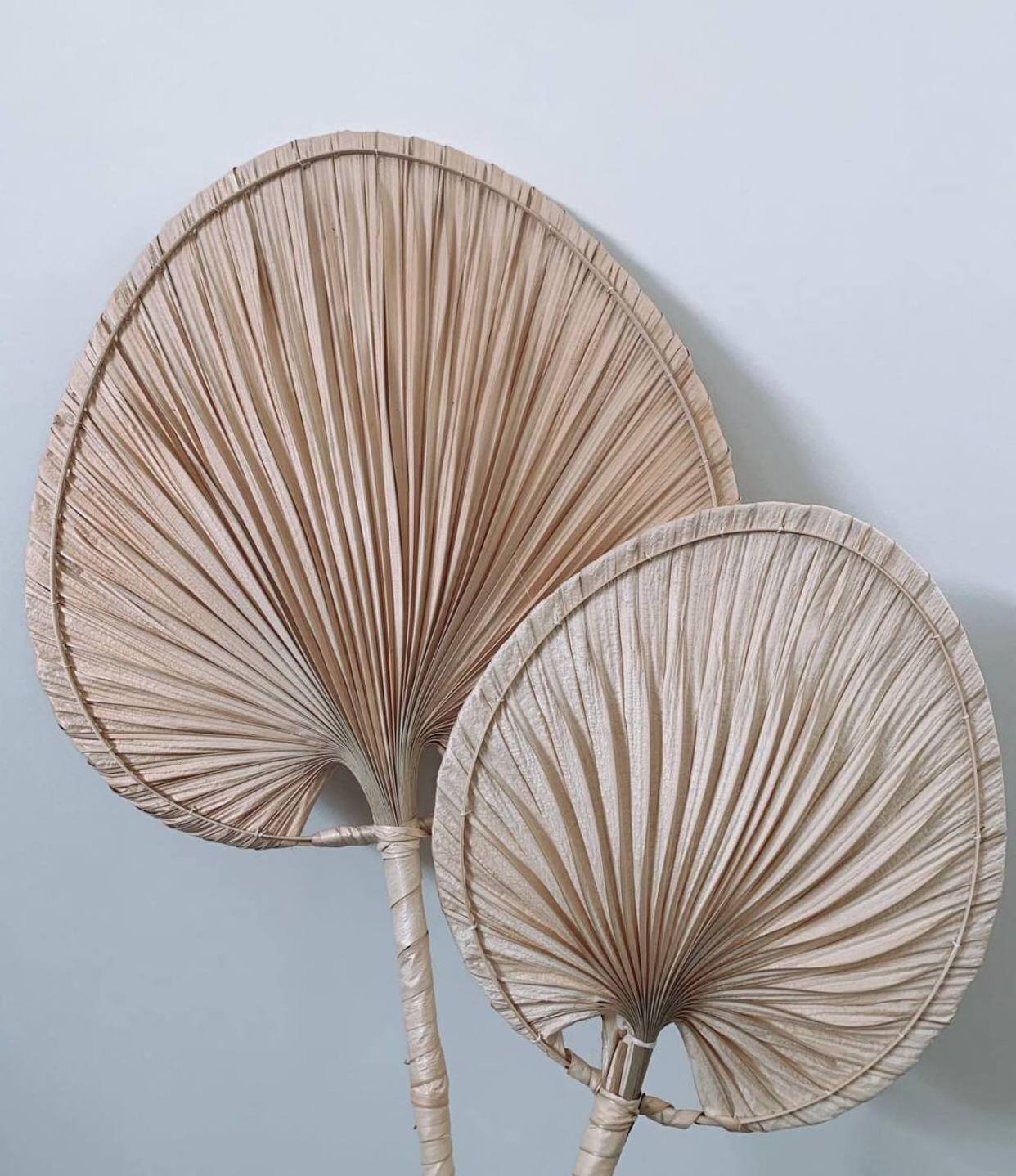 Luxury Set Natural Palm Leaf Wall Hanging