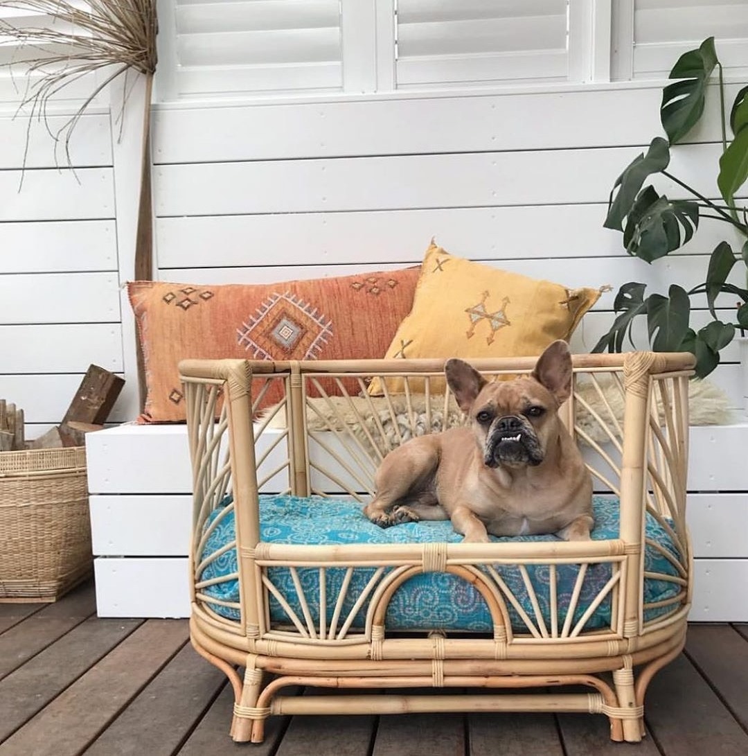 Rattan High Quality Pet Bed