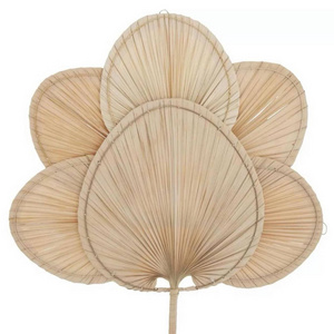 Luxury Set Natural Palm Leaf Wall Hanging