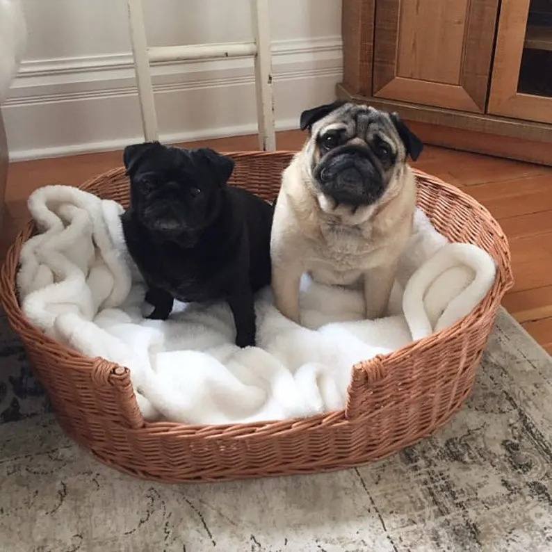 Many Size Rattan Dog bed Large Dog Basket Natural Material Dog Bed Decoration Pet Bed and House