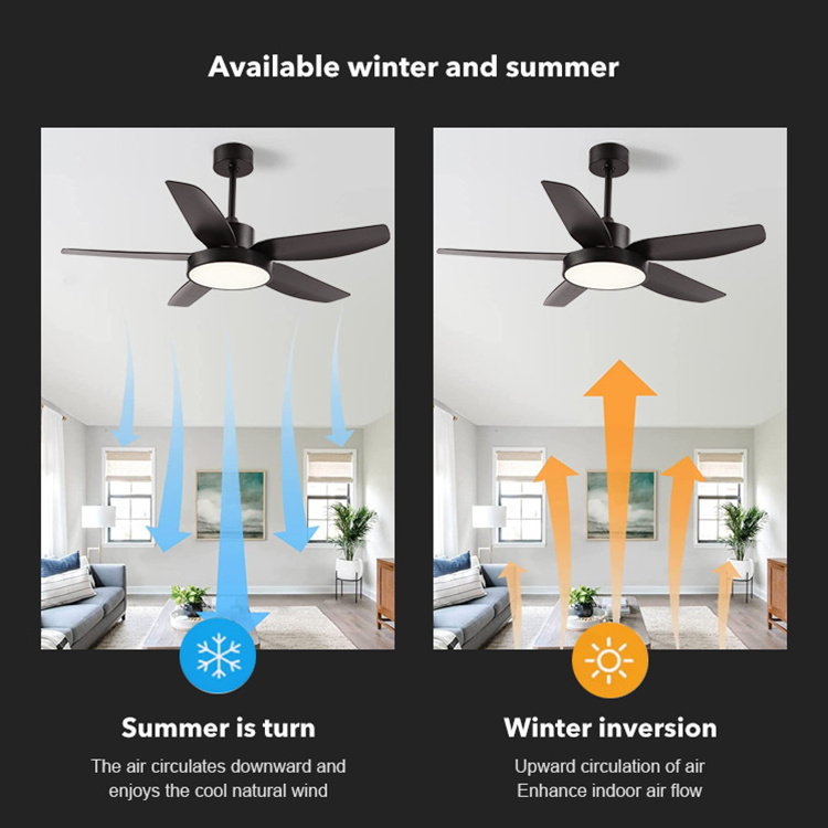 Modern Luxury Home Decorative Ceil Fan Light Living Room Bedroom Remote Control Ceiling Fan With Lamp