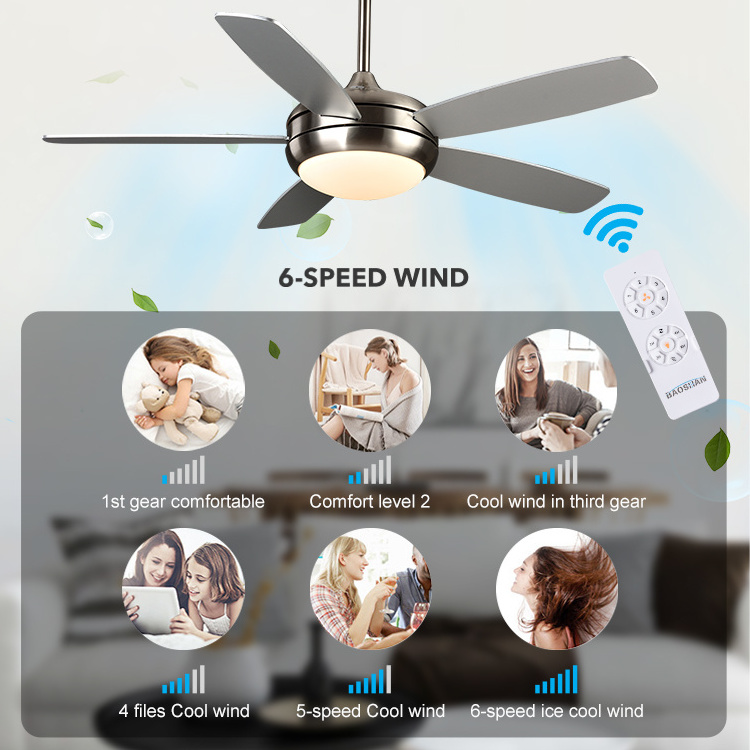 Hot Sale 52 Inch Pure Copper DC Motor Modern Silent Bldc Bluetooth Speaker Remote Control Ceiling Fan With Light