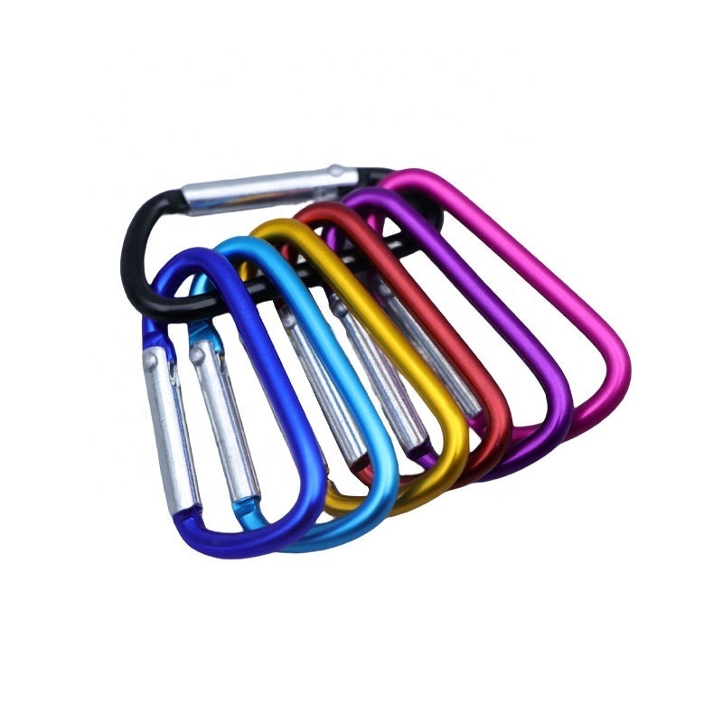 Aluminum alloy D-Ring Spring Loaded Gate Small Keychain ring flat Carabiners Clip Mini Lock Hooks Spring Snap Link Key ring