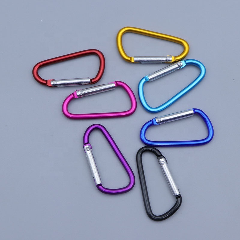 Aluminum alloy D-Ring Spring Loaded Gate Small Keychain ring flat Carabiners Clip Mini Lock Hooks Spring Snap Link Key ring