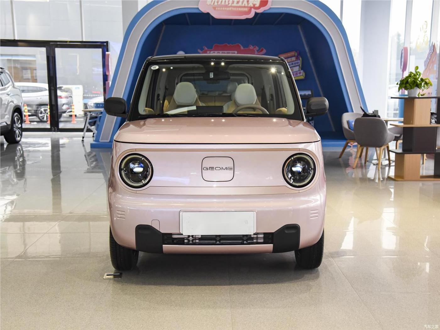 Electric Car Geely Panda Mini 2023 EV Car 120km Cute New Geometry GEOME Auto Carro Electrico for Girls New Energy Vehicles